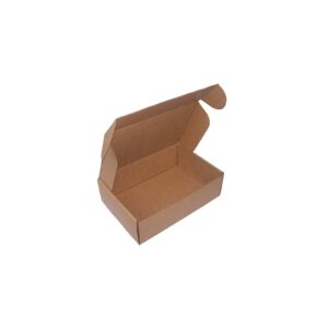 Caixa Expedição Auto-Montável 310x220x050mm Cartão Micro 10un